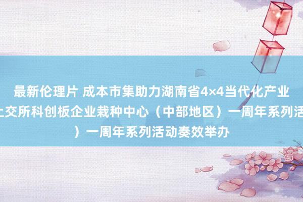 最新伦理片 成本市集助力湖南省4×4当代化产业体系建立  上交所科创板企业栽种中心（中部地区）一周年系列活动奏效举办