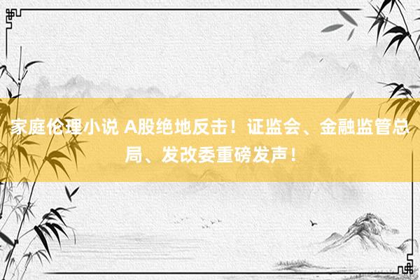 家庭伦理小说 A股绝地反击！证监会、金融监管总局、发改委重磅发声！