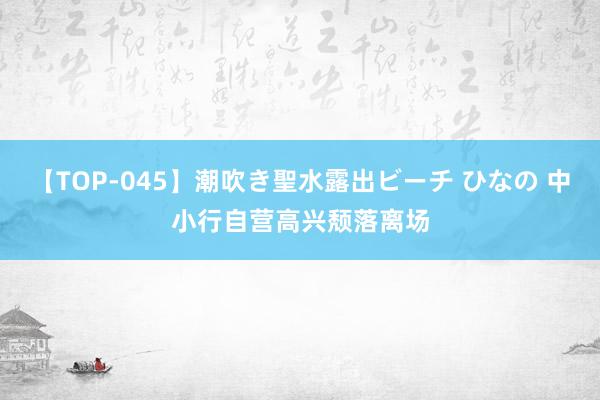 【TOP-045】潮吹き聖水露出ビーチ ひなの 中小行自营高兴颓落离场