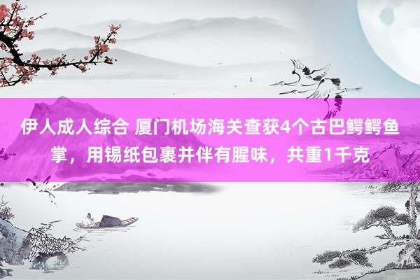 伊人成人综合 厦门机场海关查获4个古巴鳄鳄鱼掌，用锡纸包裹并伴有腥味，共重1千克