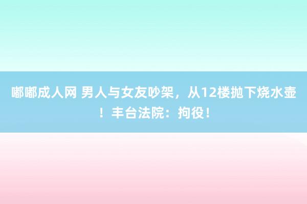 嘟嘟成人网 男人与女友吵架，从12楼抛下烧水壶！丰台法院：拘役！