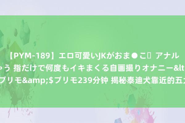 【PYM-189】エロ可愛いJKがおま●こ・アナルをいっぱい見せちゃう 指だけで何度もイキまくる自画撮りオナニー</a>2016-04-18プリモ&$プリモ239分钟 揭秘泰迪犬靠近的五大惶恐，望望你家爱宠是否也身在其中！