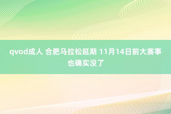 qvod成人 合肥马拉松延期 11月14日前大赛事也确实没了