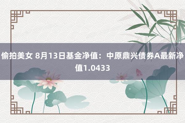 偷拍美女 8月13日基金净值：中原鼎兴债券A最新净值1.0433