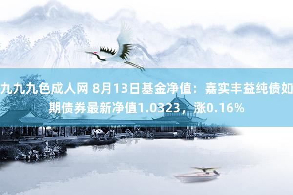 九九九色成人网 8月13日基金净值：嘉实丰益纯债如期债券最新净值1.0323，涨0.16%