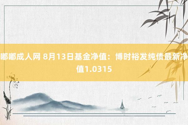 嘟嘟成人网 8月13日基金净值：博时裕发纯债最新净值1.0315