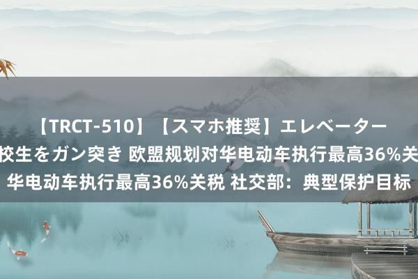 【TRCT-510】【スマホ推奨】エレベーターに挟まれたデカ尻女子校生をガン突き 欧盟规划对华电动车执行最高36%关税 社交部：典型保护目标