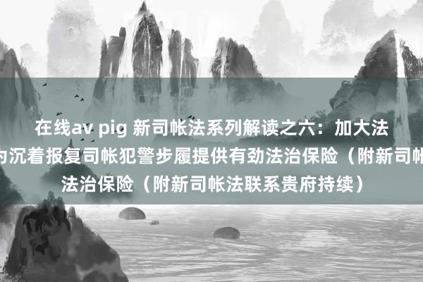 在线av pig 新司帐法系列解读之六：加大法律职守讲求力度 为沉着报复司帐犯警步履提供有劲法治保险（附新司帐法联系贵府持续）