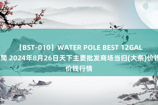 【BST-010】WATER POLE BEST 12GALs 8時間 2024年8月26日天下主要批发商场当归(大条)价钱行情