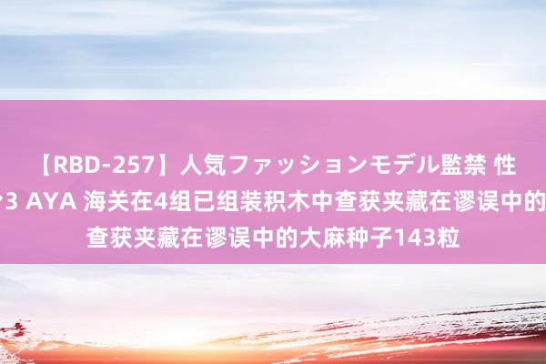 【RBD-257】人気ファッションモデル監禁 性虐コレクション3 AYA 海关在4组已组装积木中查获夹藏在谬误中的大麻种子143粒