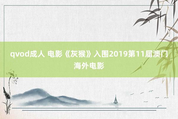 qvod成人 电影《灰猴》入围2019第11届澳门海外电影