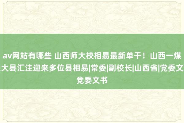 av网站有哪些 山西师大校相易最新单干！山西一煤炭大县汇注迎来多位县相易|常委|副校长|山西省|党委文书