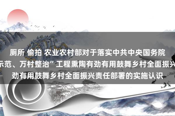 厕所 偷拍 农业农村部对于落实中共中央国务院对于学习利用“千村示范、万村整治”工程熏陶有劲有用鼓舞乡村全面振兴责任部署的实施认识